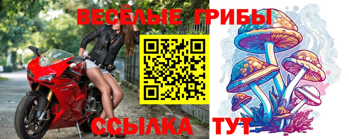Рязань  Псилоцибиновые грибы GOLDEN TEACHER  Вход с VPN 