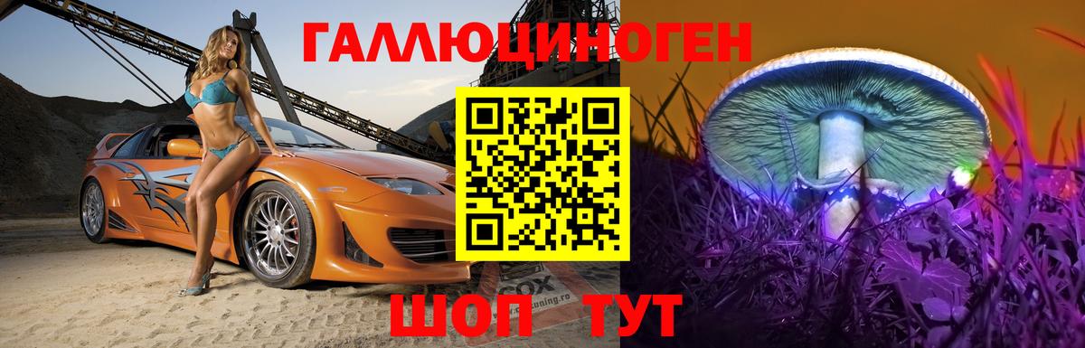 Псилоцибиновые грибы GOLDEN TEACHER Рязань